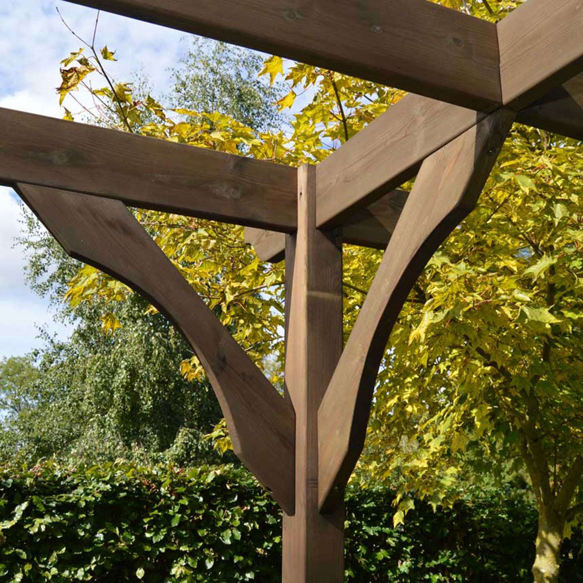 Exceptional Garden:Premium Pergola with Four Posts