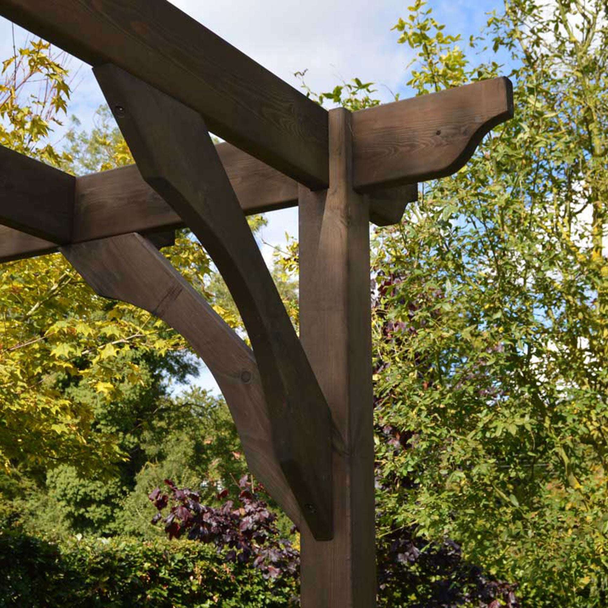 Exceptional Garden:Premium Pergola with Four Posts